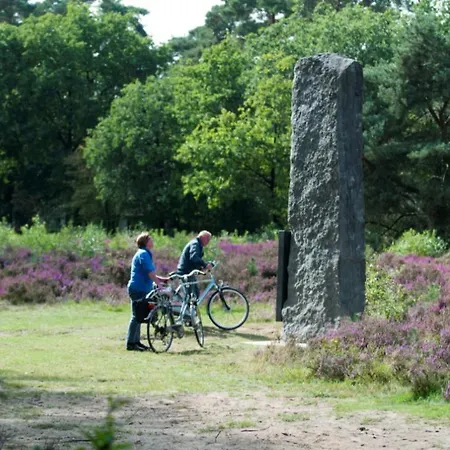 De Beuk 6p Kindvriendelijk *