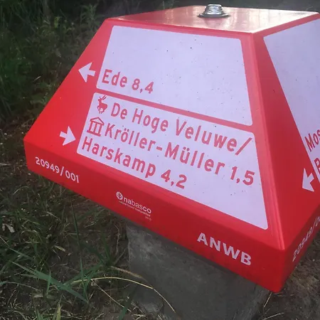 De Beuk 6p Kindvriendelijk