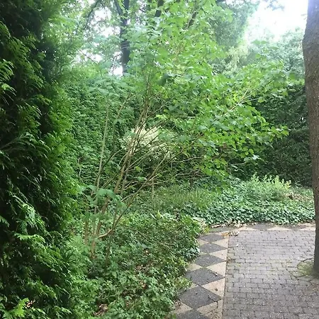Nyaraló De Beuk 6p Kindvriendelijk