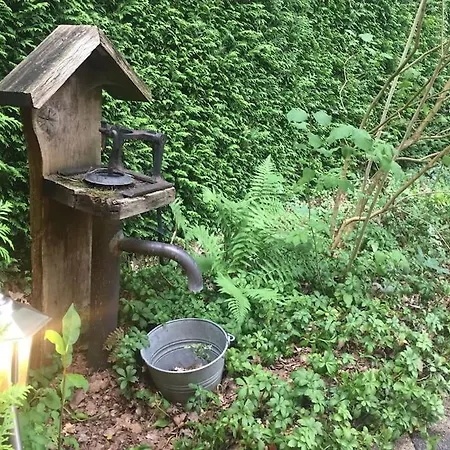 De Beuk 6p Kindvriendelijk Ferienhaus