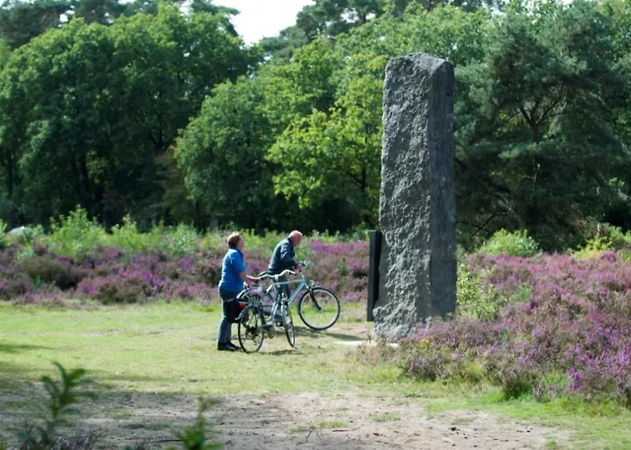 De Beuk 6p Kindvriendelijk *