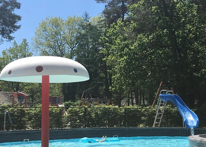 De Beuk 6p Kindvriendelijk Otterlo