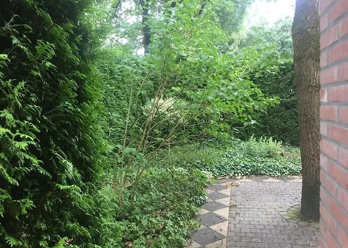 Semesterbostad De Beuk 6p Kindvriendelijk