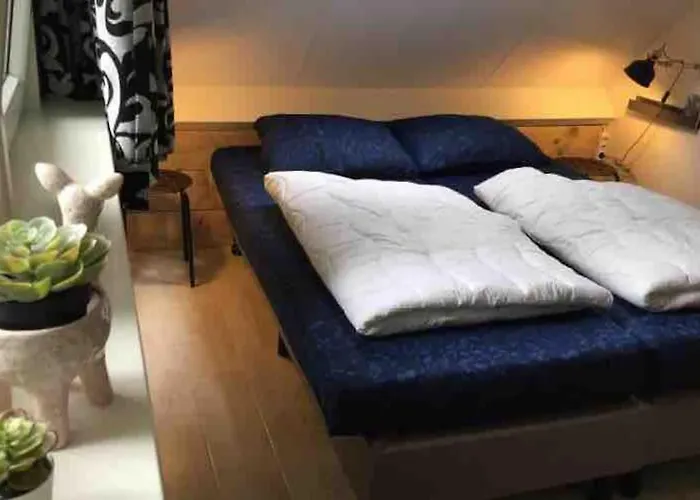 Semesterbostad De Beuk 6p Kindvriendelijk Otterlo